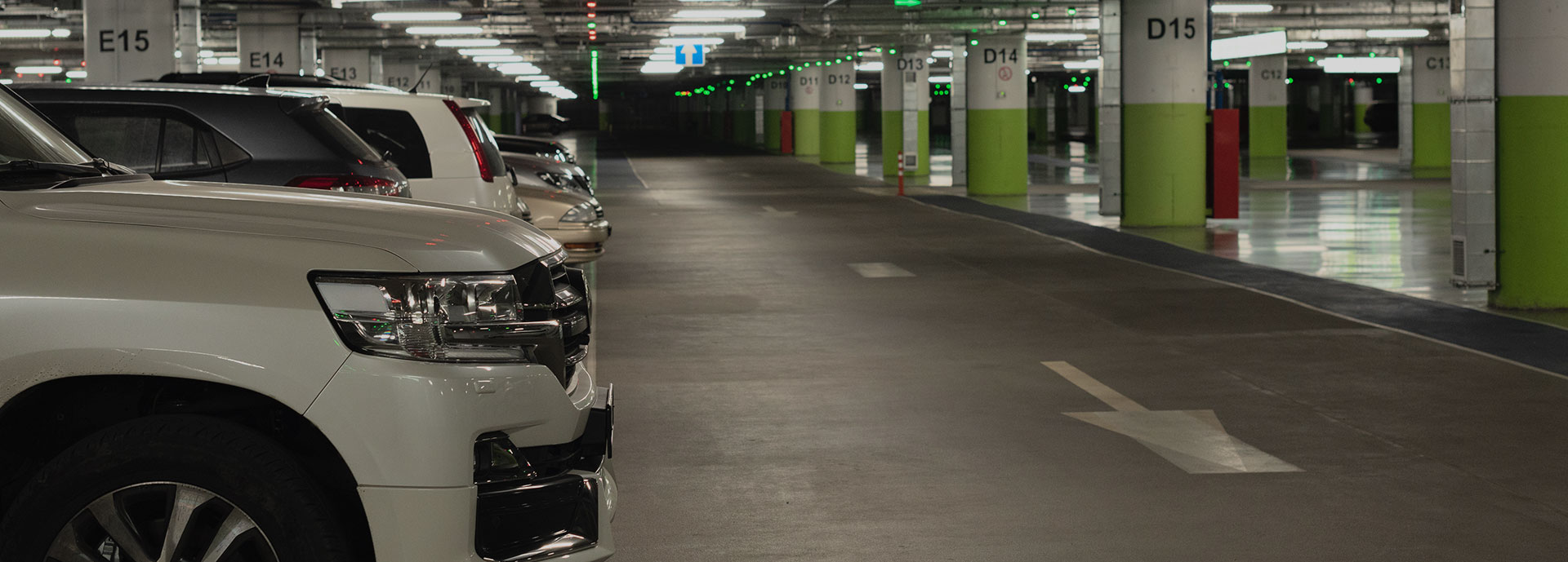 Motorista Profissional LisPark